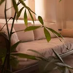 Apartment Api Projects Nafplio