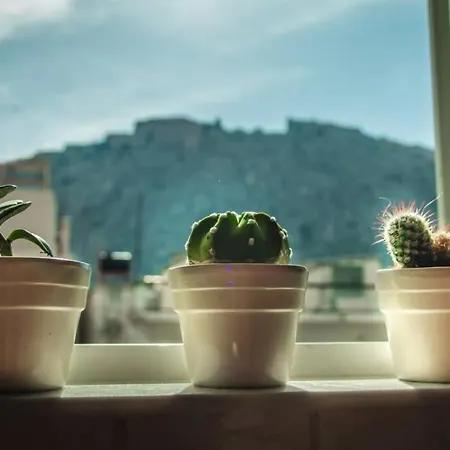 Api Projects Daire Anabolu