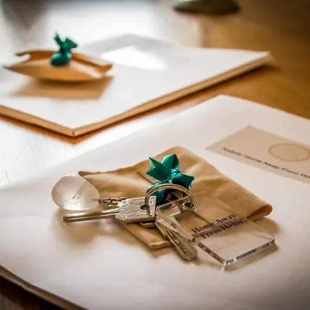 Daire Api Projects *