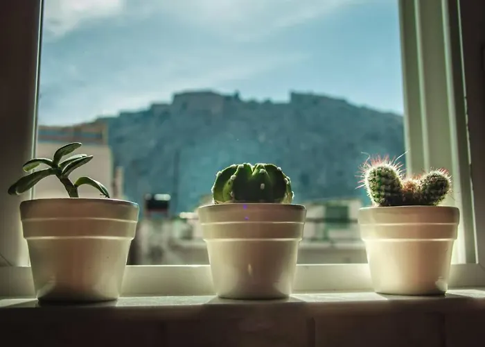 Api Projects Lägenhet Nafplion